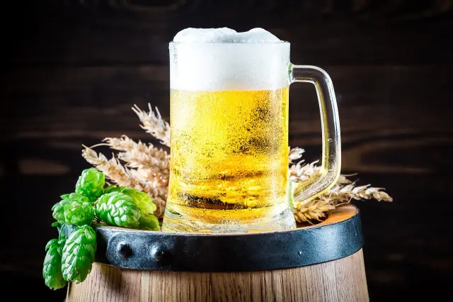 ingredients of beer
