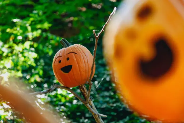 ¡Beer Spa te desea Feliz Halloween!