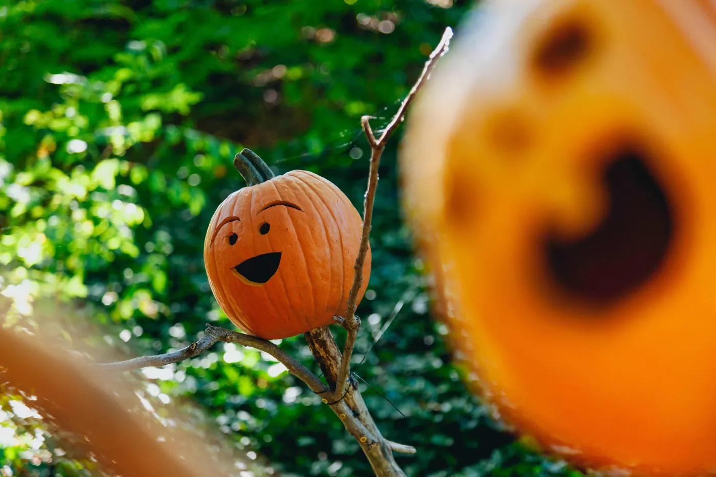 ¡Beer Spa te desea Feliz Halloween!