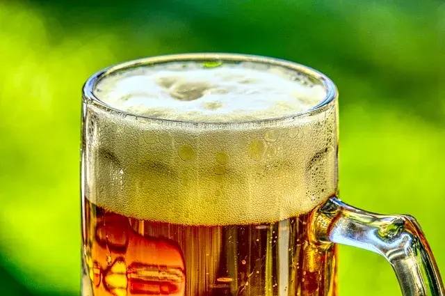 beer makes you fat