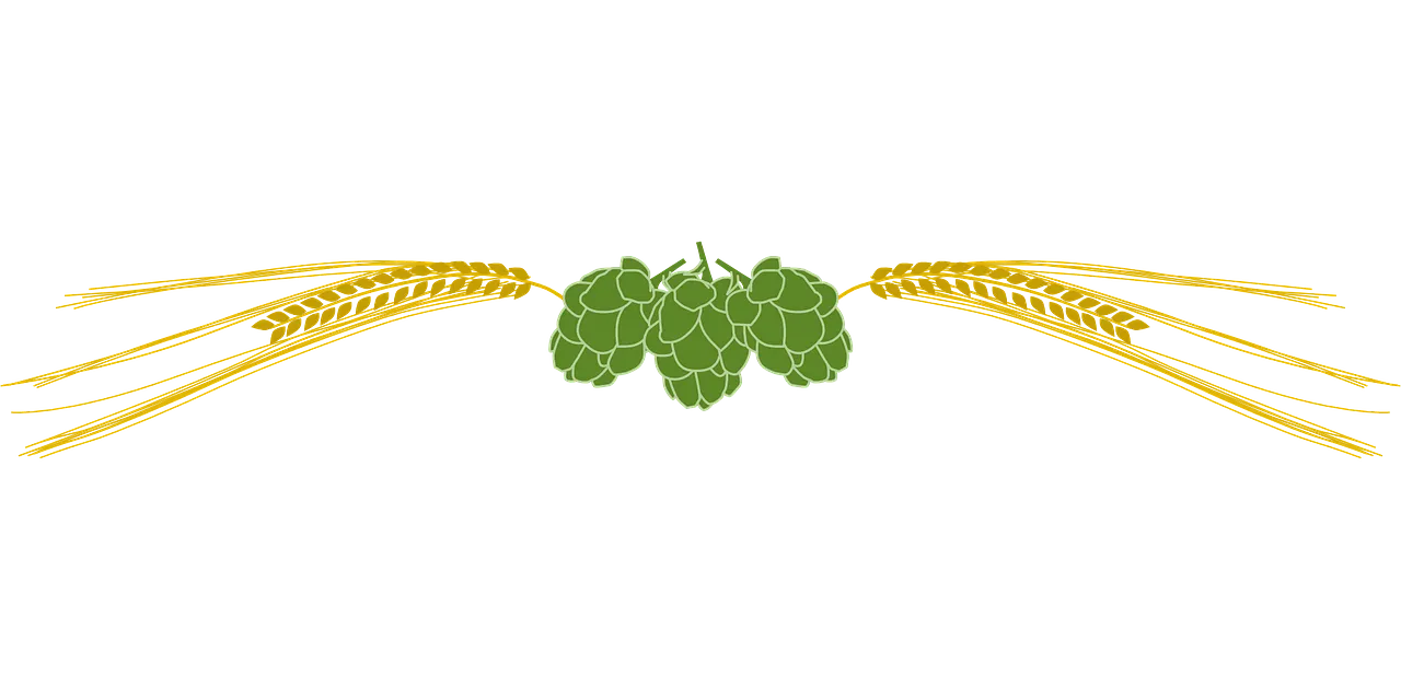 types of beer according to its preparation