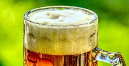 beer makes you fat