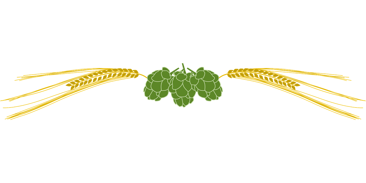 types of beer according to its preparation